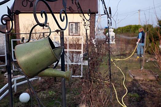 Россиян предупредили о грозящих дачникам весной штрафах Россиян предупредили о грозящих дачникам весной штрафах