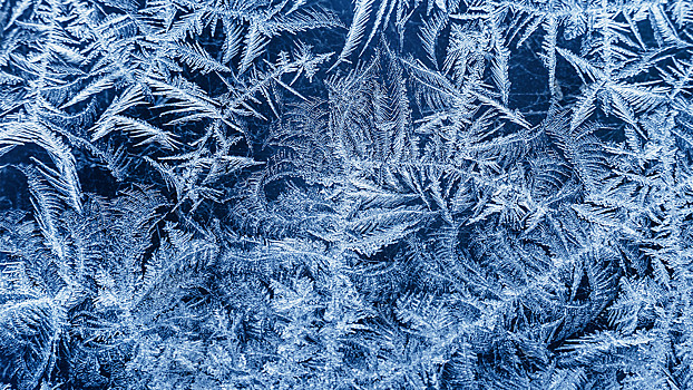 Эти узоры на окнах повышают счета и риск плесени — вы знали?