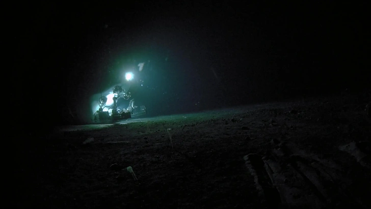 Японские океанологи открыли 38 новых живых существ. Посмотрите, кто обитает в Нанкайском желобе Японские океанологи открыли 38 новых живых существ. Посмотрите, кто обитает в Нанкайском желобе