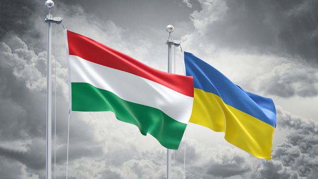 Один из венгерских делегатов отказался ехать на Украину, опасаясь мобилизации Один из венгерских делегатов отказался ехать на Украину, опасаясь мобилизации