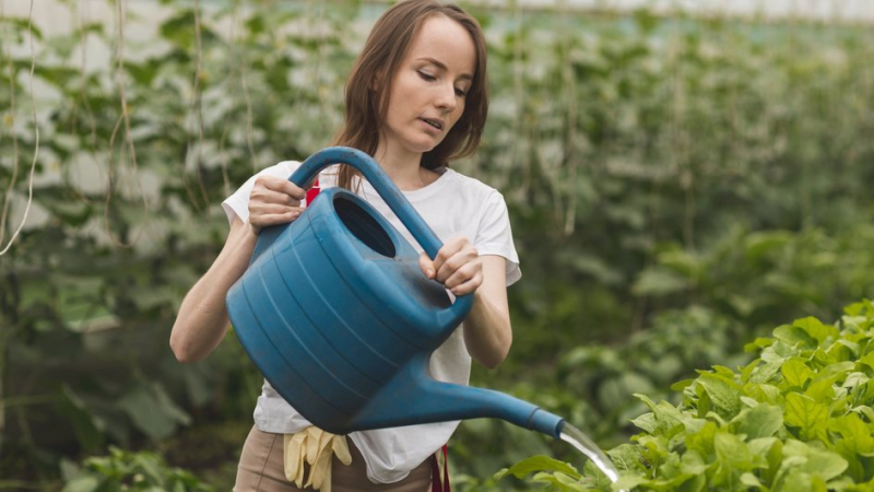 Почему вы все еще работаете на даче на износ и как это исправить Почему вы все еще работаете на даче на износ и как это исправить