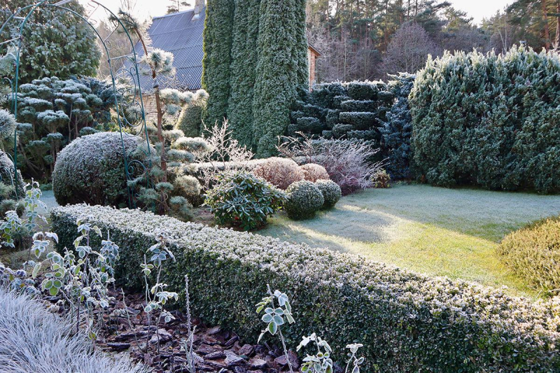 Тактильность, вода и дофамин: ключевые тренды ландшафтного дизайна —