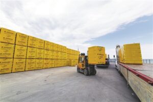 Популярность завода КОТТЕДЖ шагнула за пределы региона — Волга Ньюс
